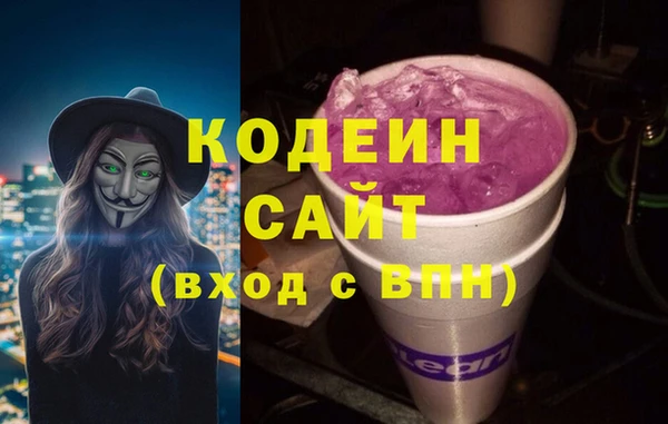 СК Пересвет